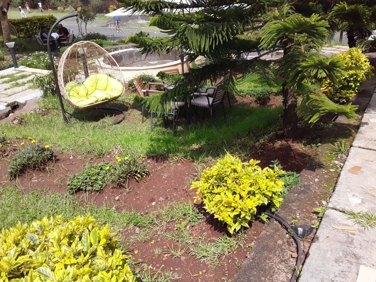Garden seating area with a hanging egg chair and flowering shrubs