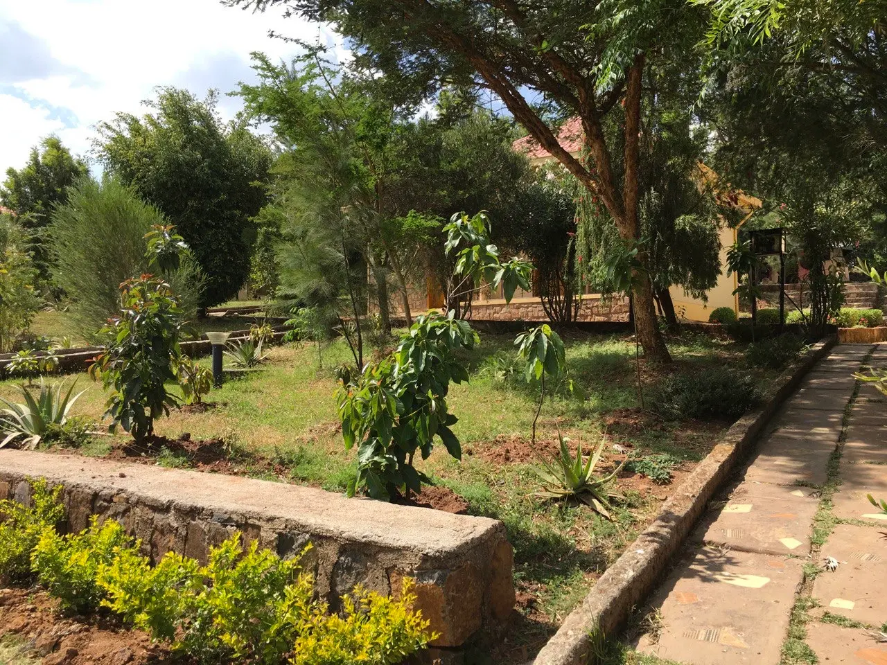 Garden path beside a stone wall and young trees near the guest buildings