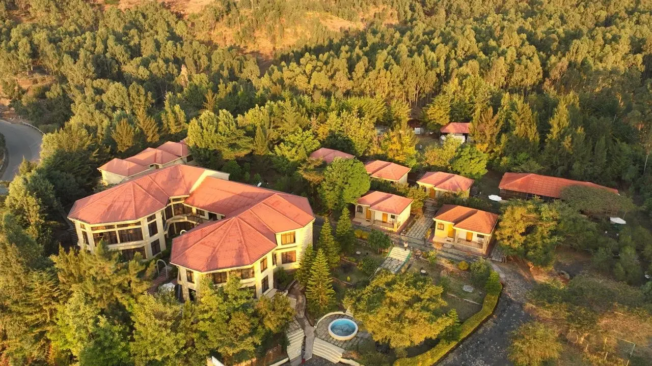 Aerial view of the resort's red-roofed buildings among eucalyptus trees in warm evening light